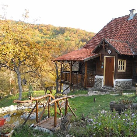 Apartment Cerova Kosa Mokra Gora Exterior photo